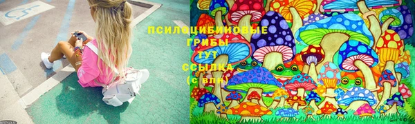 сатива Волосово