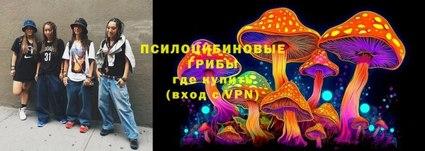 сатива Волосово
