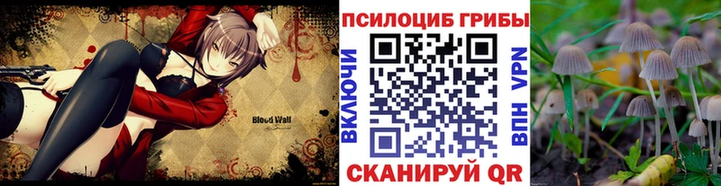 Купить  Североморск  Галлюциногенные грибы Psilocybe 