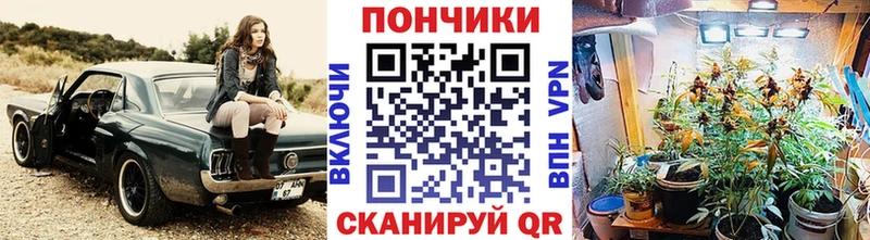 Конопля план  Купить  Североморск 